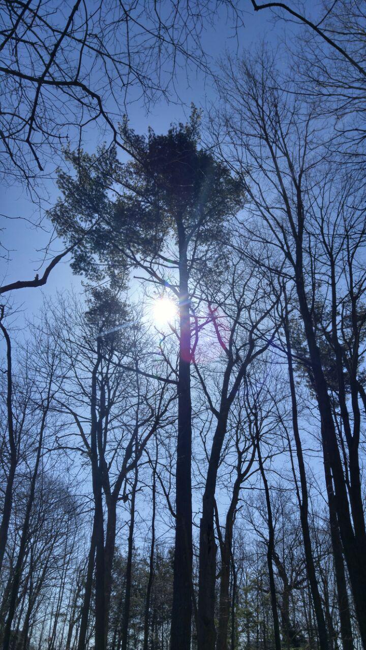 20180422_Sunday morning view_Edwards Gardens